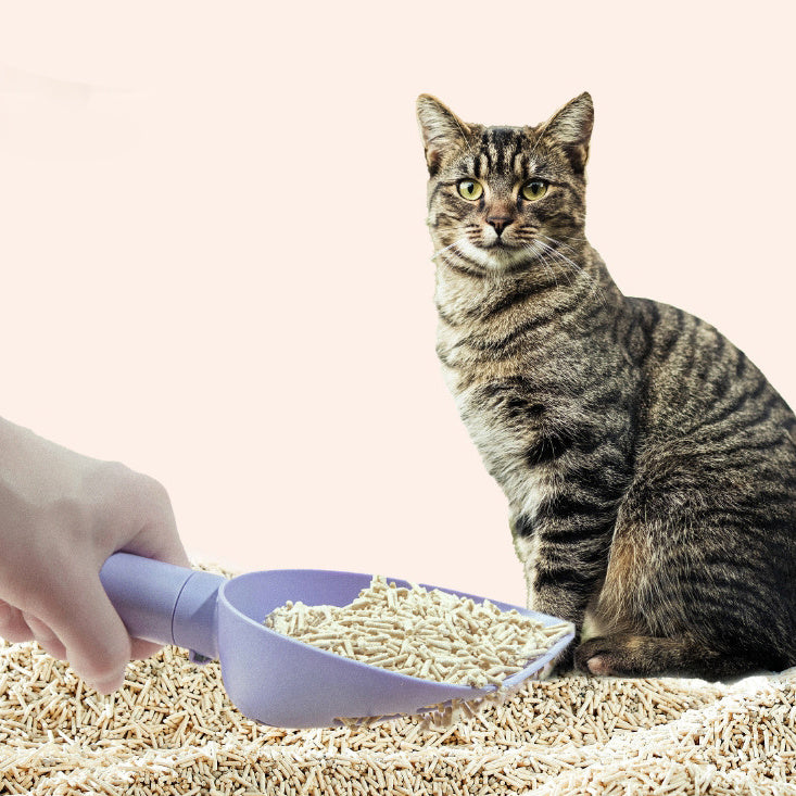 Plastic Cats Poop Scoop With Base